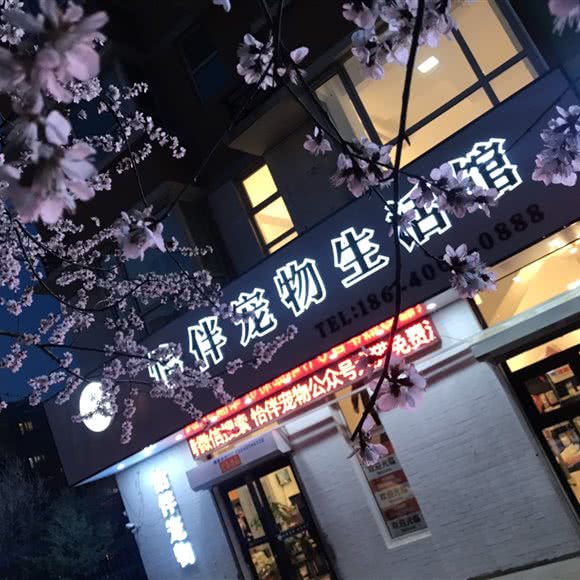 怡伴狗狗生活馆:沈阳市浑南区浑南新区附近