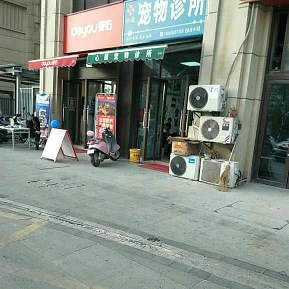 心康宠物诊所:合肥市新站区