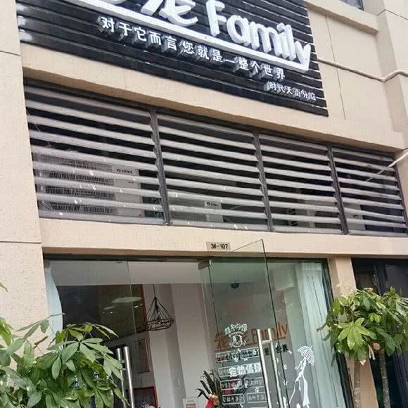 宠宠 Family:合肥市经开区