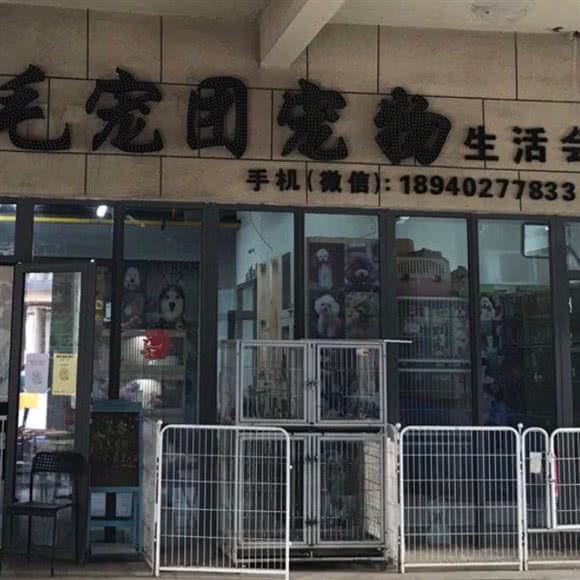 毛宠团宠物生活会馆:沈阳市浑南区浑南新区附近