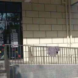 爱它宠物店:合肥市经开区