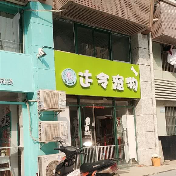 宠宸宠物:合肥市经开区
