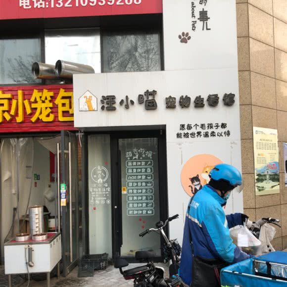 汪小喵宠物生活馆:烟台市开发区
