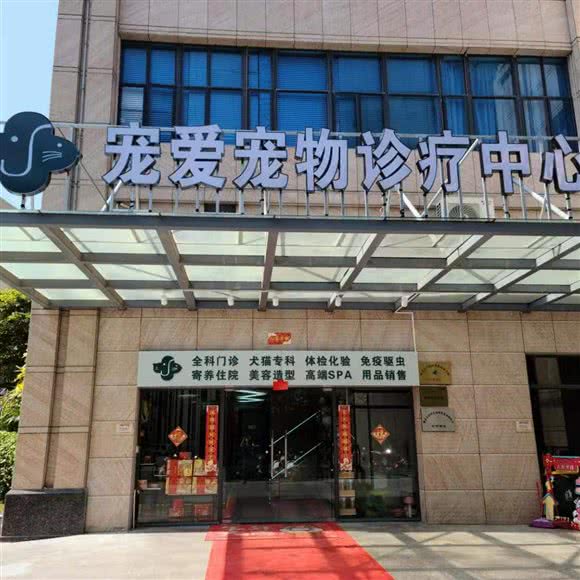 宠爱宠物诊疗中心:湛江市开发区