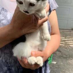 悦泽宠物美发:沈阳市浑南区浑南新区附近