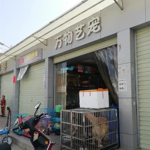 万物艺宠:东莞市东城街道