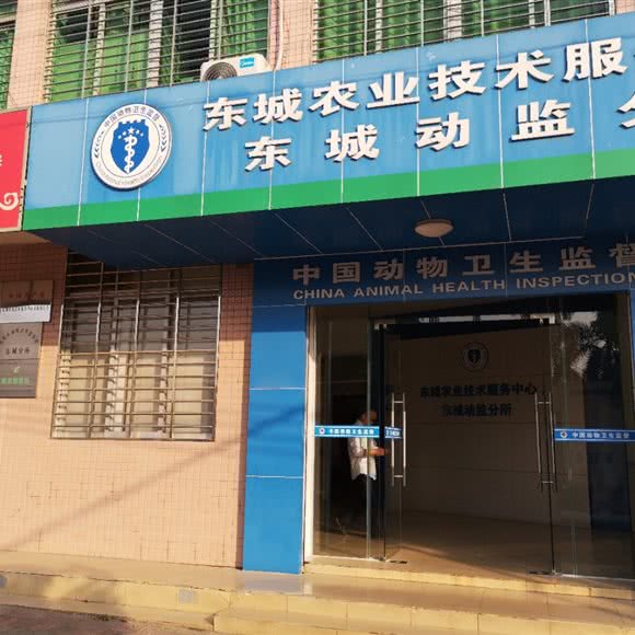 东城畜牧兽医站:东莞市东城街道
