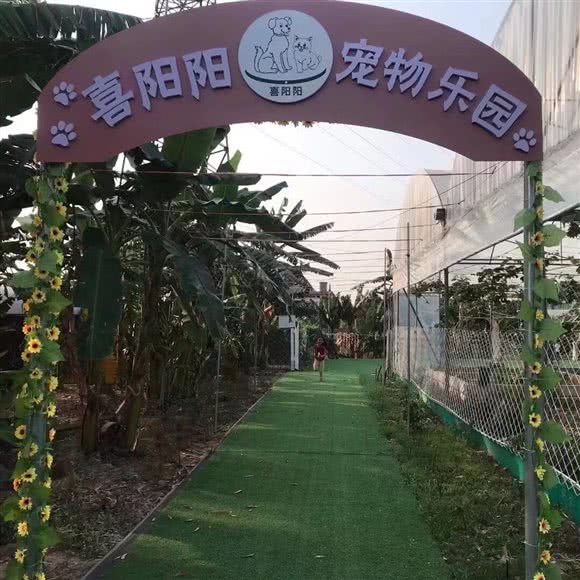 喜阳阳宠物乐园:东莞市万江街道