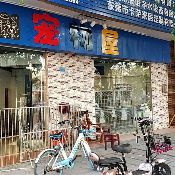 宠物屋:东莞市万江街道