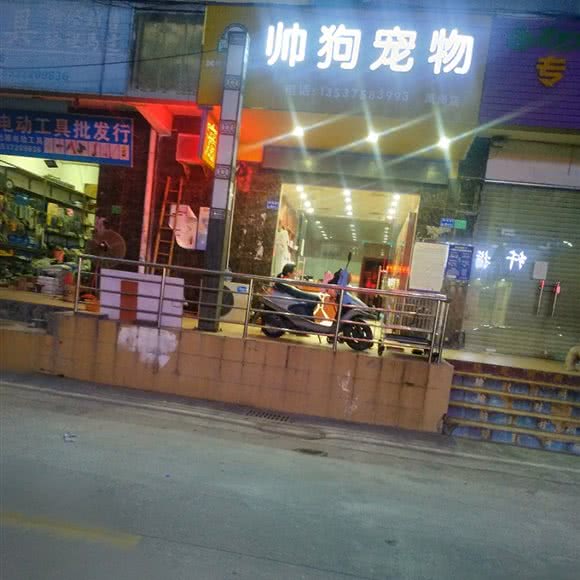 帅哥宠物(凤岗店):东莞市凤岗镇