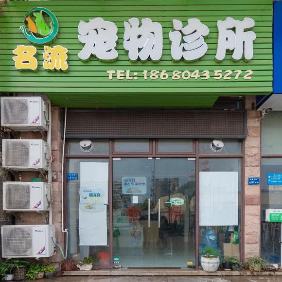 名流宠物诊所:东莞市凤岗镇