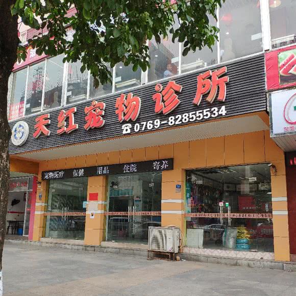 天红宠物诊所:东莞市长安镇