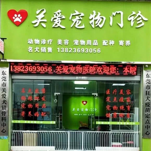 关爱宠物门诊:东莞市厚街镇