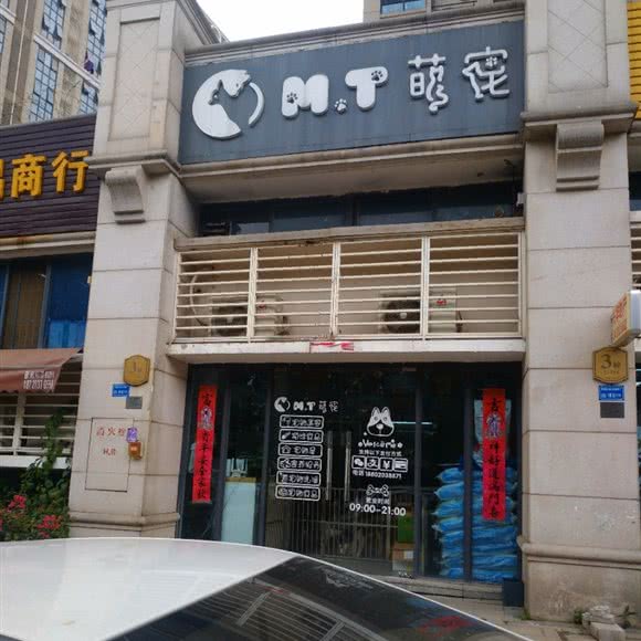 MT萌宠:东莞市塘厦镇