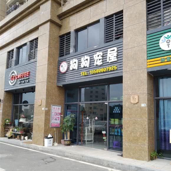 狗狗宠屋:东莞市塘厦镇