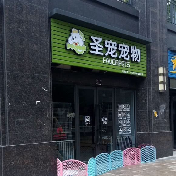 圣宠宠物:中山市石岐街道