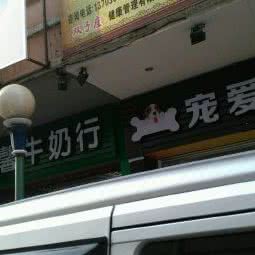 宠爱有家:中山市石岐街道