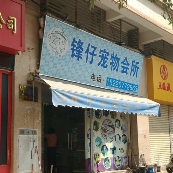 锋仔宠物会所:中山市三角镇
