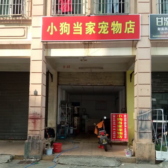 小狗当家宠物店:中山市三乡镇