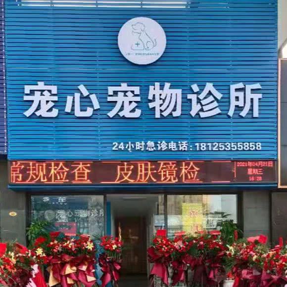 宠心宠物诊所:中山市坦洲镇