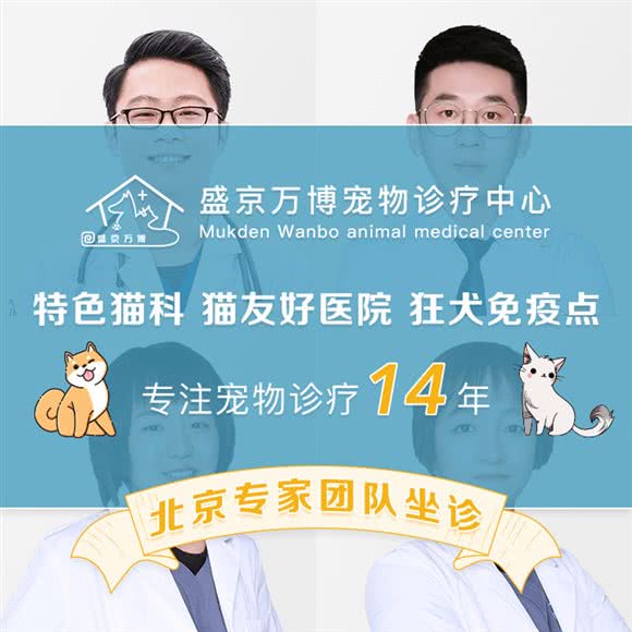 盛京万博宠物诊疗中心·猫友好疗养院·外科微创中心:沈阳市浑南区浑南新区附近