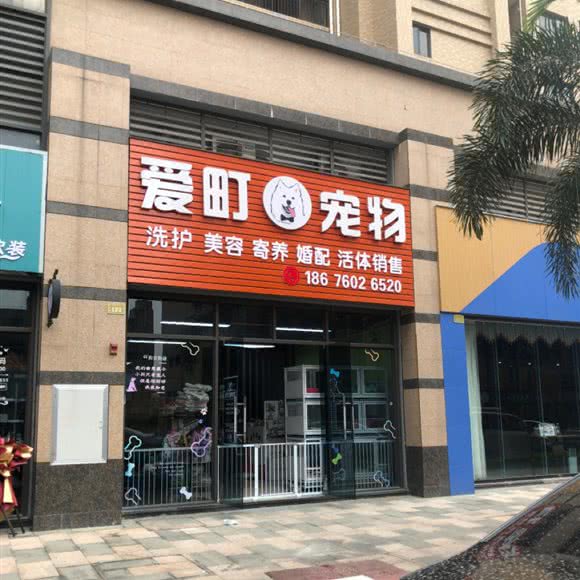 爱町狗狗:中山市东升镇
