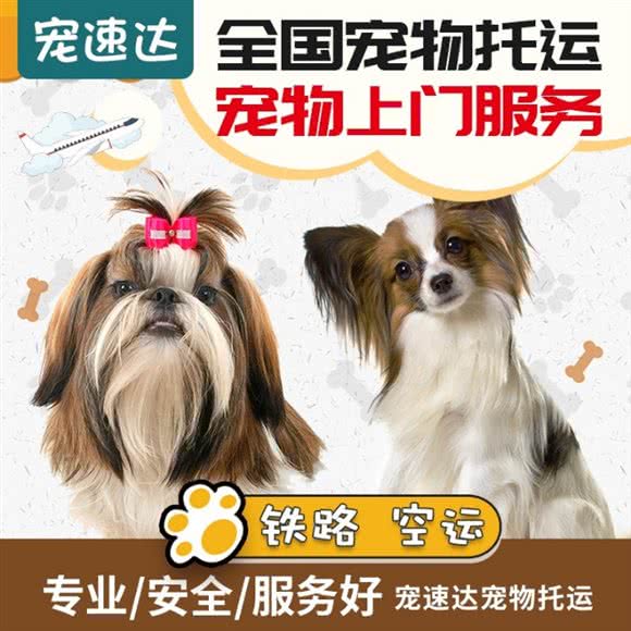 沈阳宠速达宠物托运:沈阳市浑南区奥体中心附近