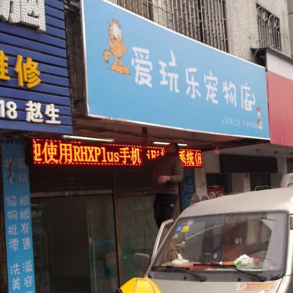 爱玩乐宠物店:中山市横栏镇