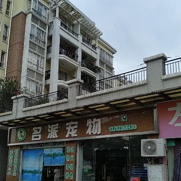 名派宠物:中山市横栏镇