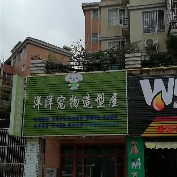 洋洋宠物造型屋:中山市横栏镇