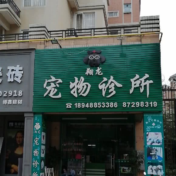 翔龙宠物诊所:中山市横栏镇