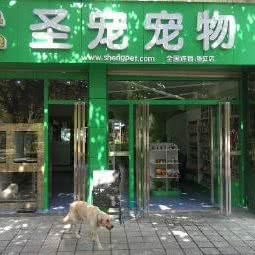 圣宠宠物店(重庆垫江体育场店):重庆城区垫江县