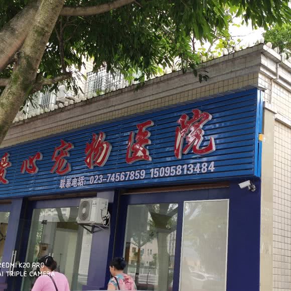 爱心宠物医院:重庆城区垫江县