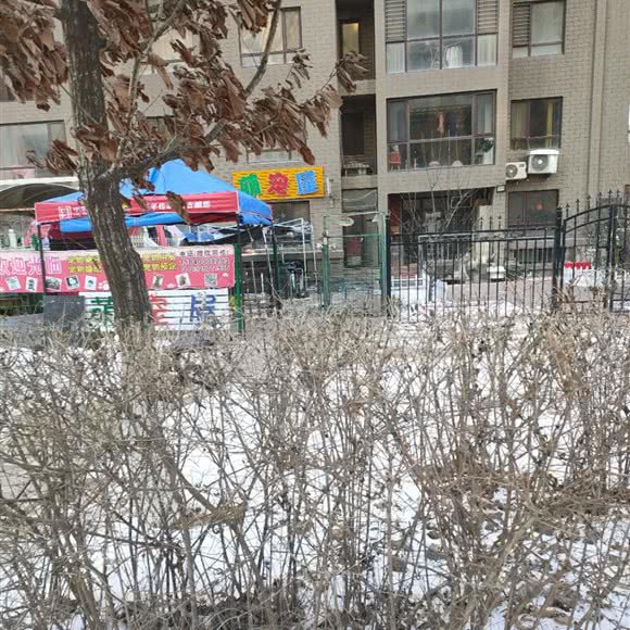萌宠屋宠物店:沈阳市浑南区沈阳体育学院附近