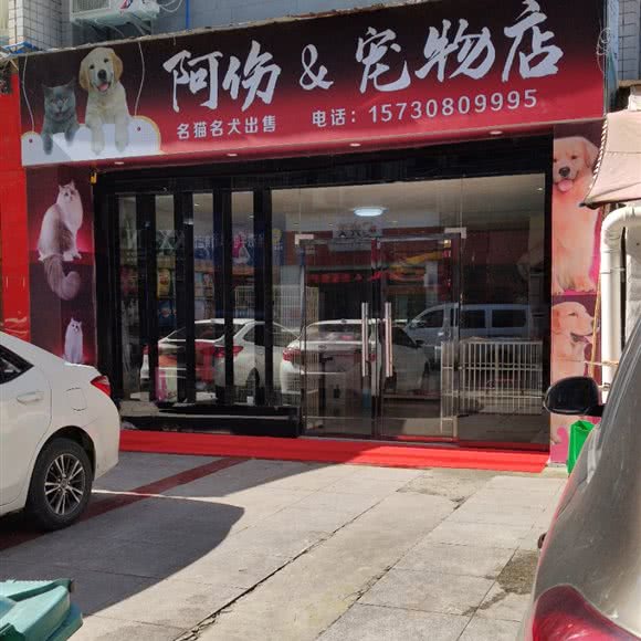 阿伤&宠物店:重庆城区酉阳土家族苗族自治县