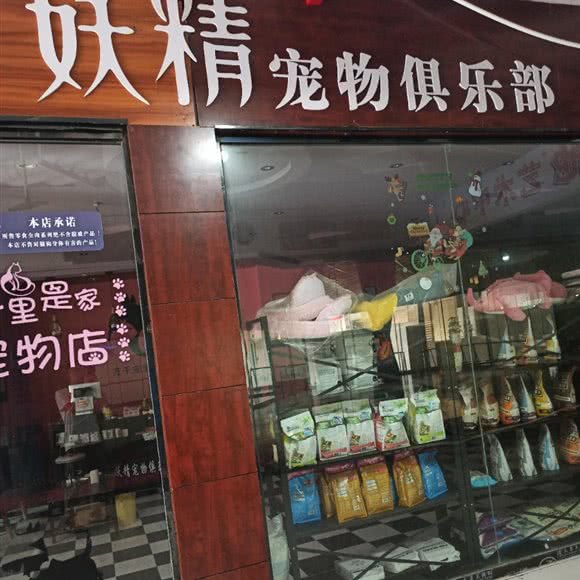 妖精狗狗俱乐部:重庆城区酉阳土家族苗族自治县