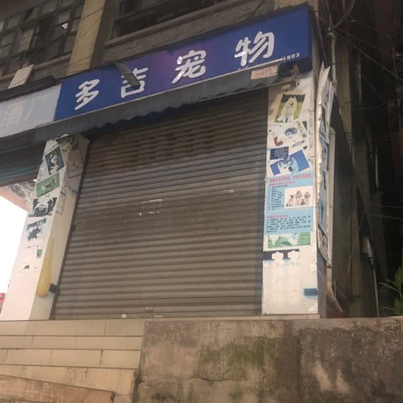 多吉宠物:重庆城区彭水苗族土家族自治县
