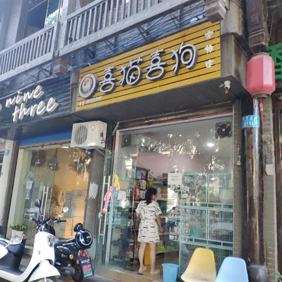 喜猫喜狗:重庆城区石柱土家族自治县