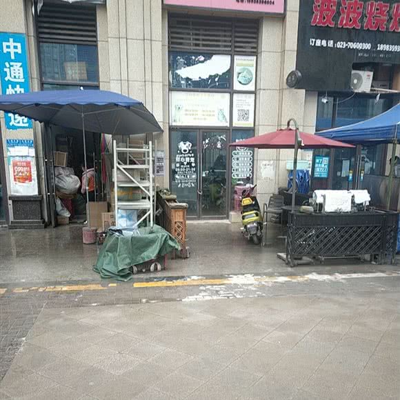 甜心萌宠:重庆城区丰都县