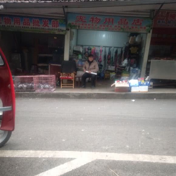 宠物用品店:重庆城区丰都县