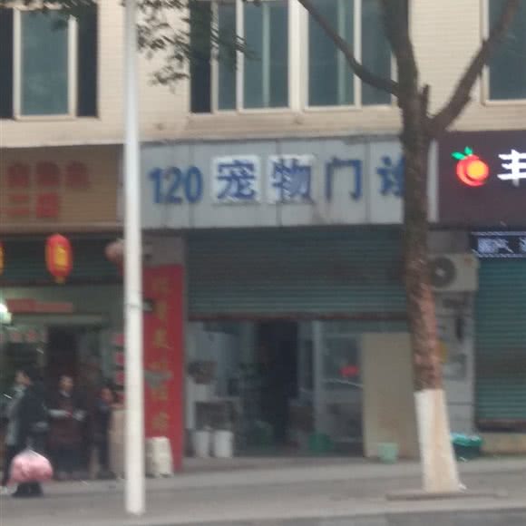 120宠物门诊:重庆城区丰都县