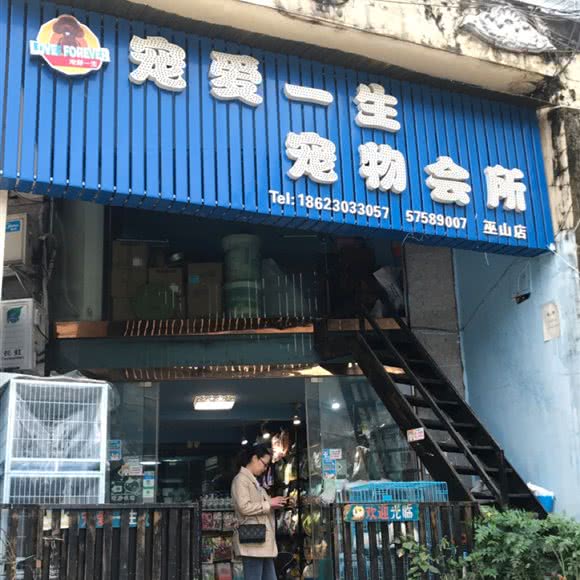 宠爱一生宠物美容店(巫山店):重庆城区巫山县