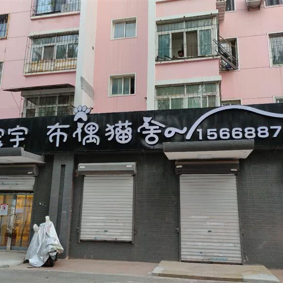 宏宇人偶猫舍:沈阳市浑南区沈阳理工大学附近