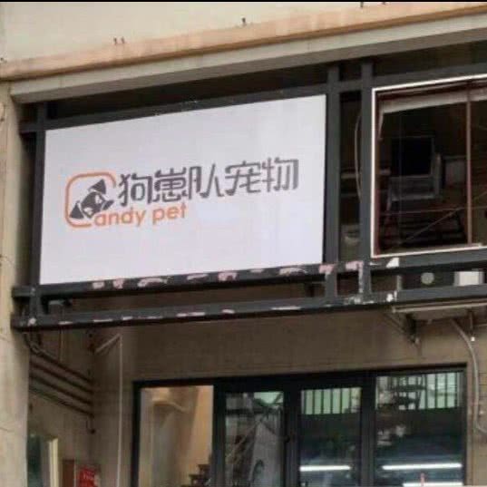 狗仔队猫狗宠物专售店(万利达公寓店):北京城区朝阳区十八里店附近