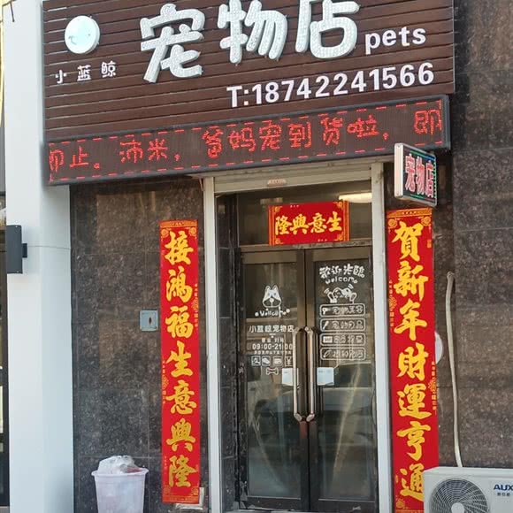 小蓝鲸宠物店:沈阳市沈北新区正良附近