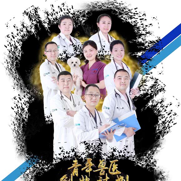 三宠动物医院:衡水市