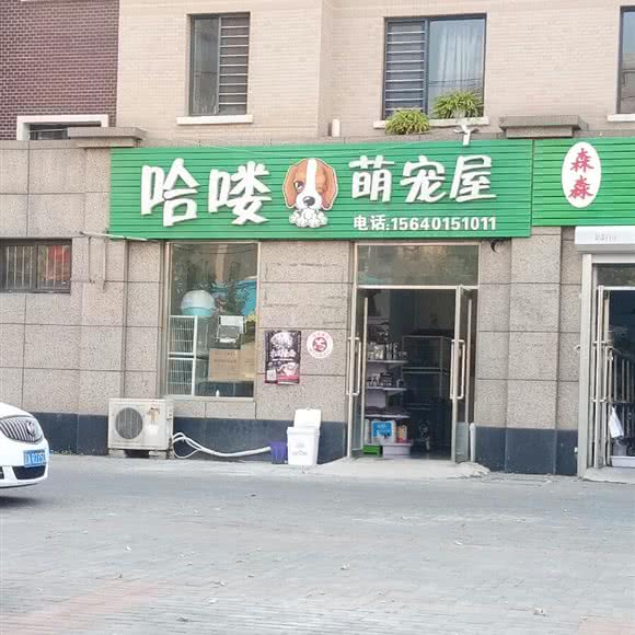 哈哟萌宠屋:沈阳市沈北新区正良附近