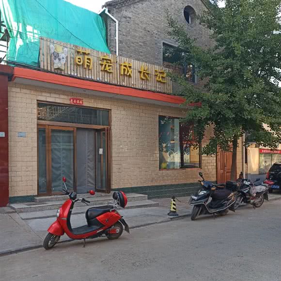 萌宠成长记:晋城市