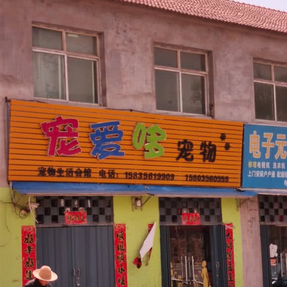 宠爱哆宠物:晋城市