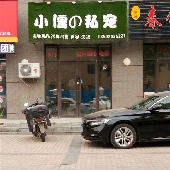 小儒の私宠:沈阳市沈北新区正良附近